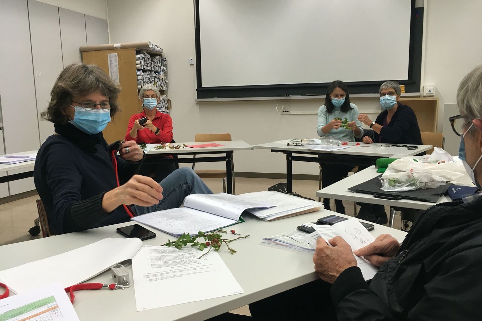 Gemeinsames Bestimmen schwieriger Wildrosen Gemeinsames Bestimmen schwieriger Wildrosen