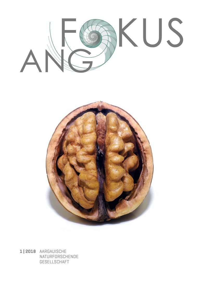 ANG-Fokus 1|2018 ANG-Fokus 1|2018
