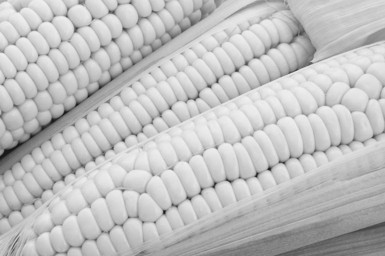 Ernährung (Symbolbild) Ernährung (Symbolbild)