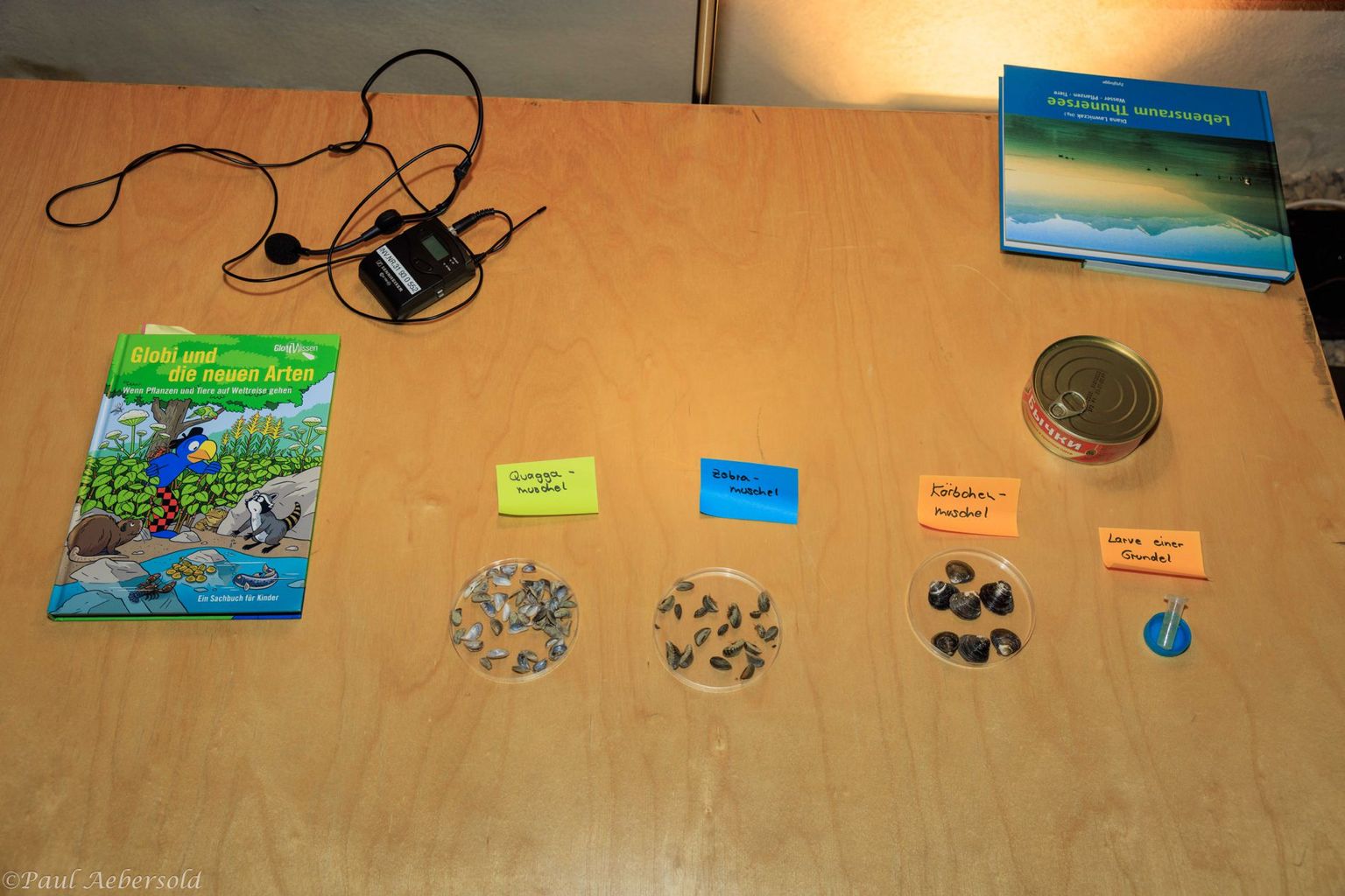 NGT – Invasive Neozoen 09 NGT – Invasive Neozoen 09