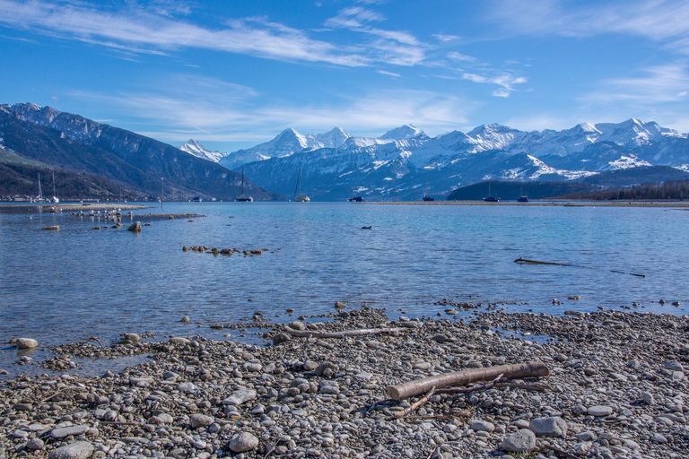 Thunersee Exkursion Thunersee Exkursion