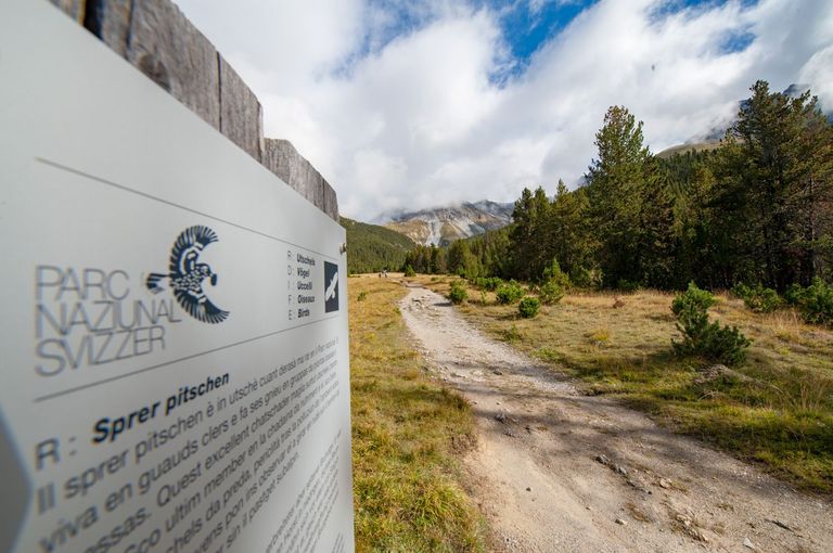 Teaser Margunet Teaser Margunet