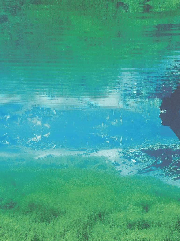 Wasser Wasser
