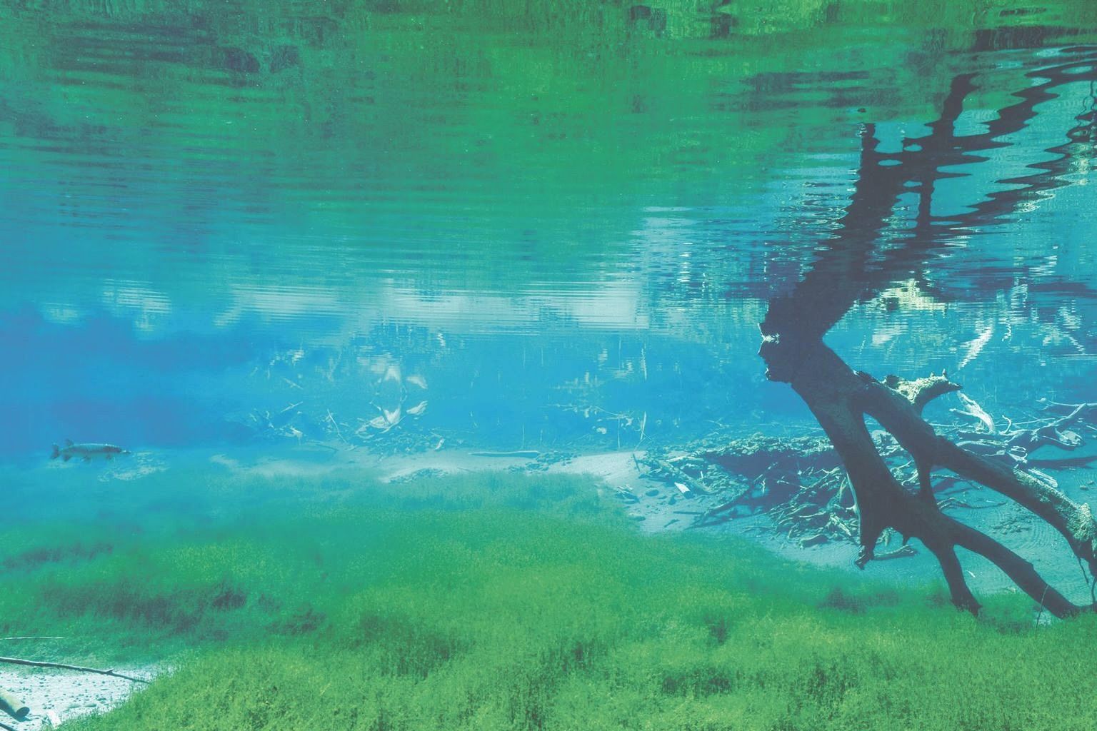 Wasser Wasser
