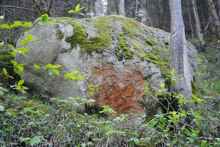 bloc erratique bloc erratique