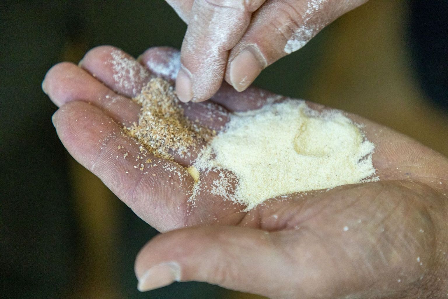 Dittligmühle, Bild 09 Dittligmühle, Bild 09