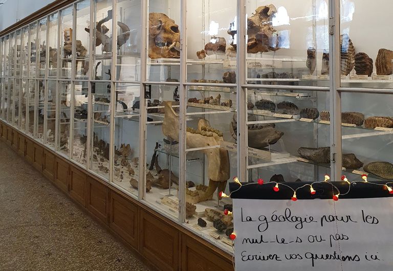 Palais de Rumine (Lausanne) Palais de Rumine (Lausanne)