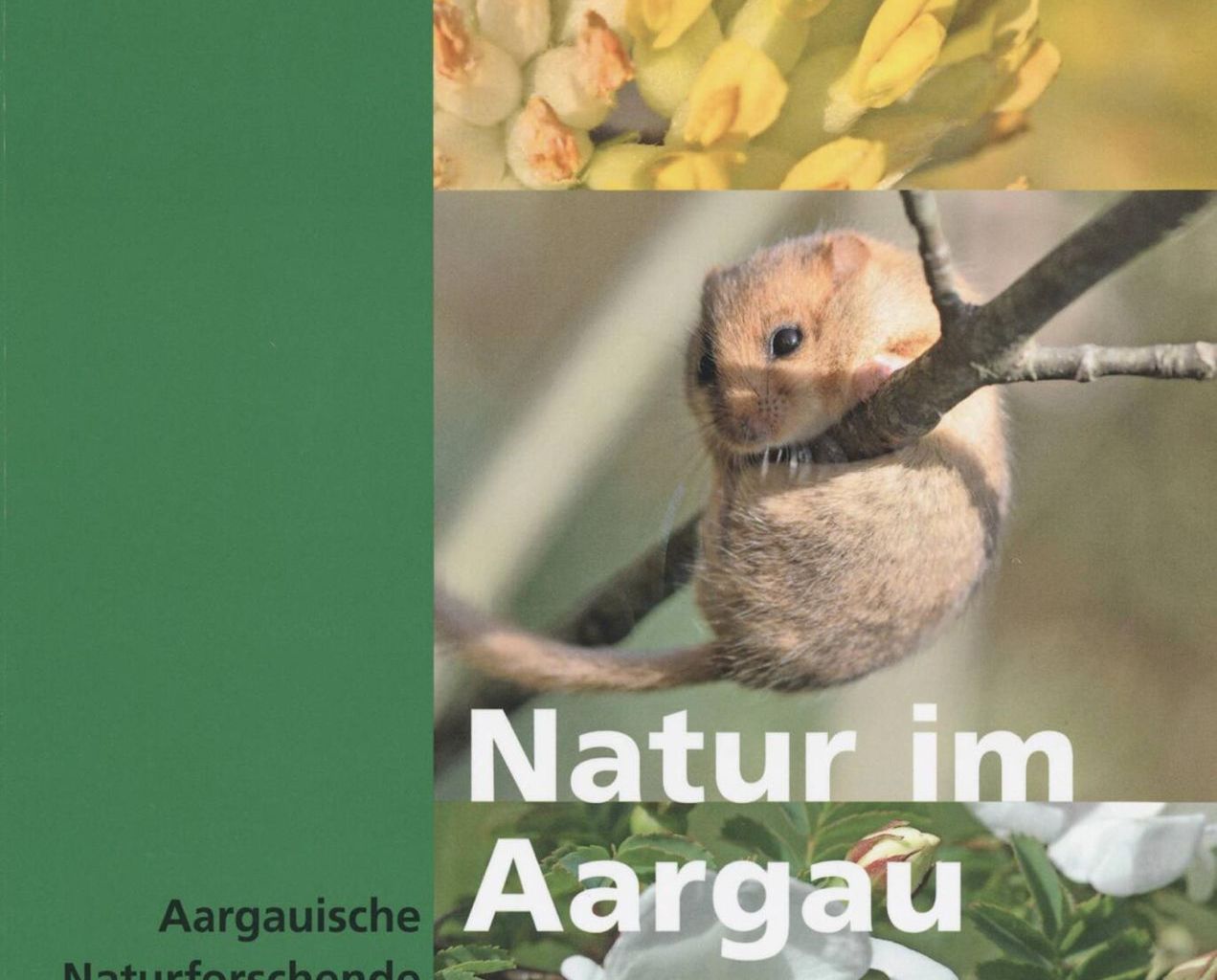 ANG-Mitteilungsband Nr. 39 ANG-Mitteilungsband Nr. 39