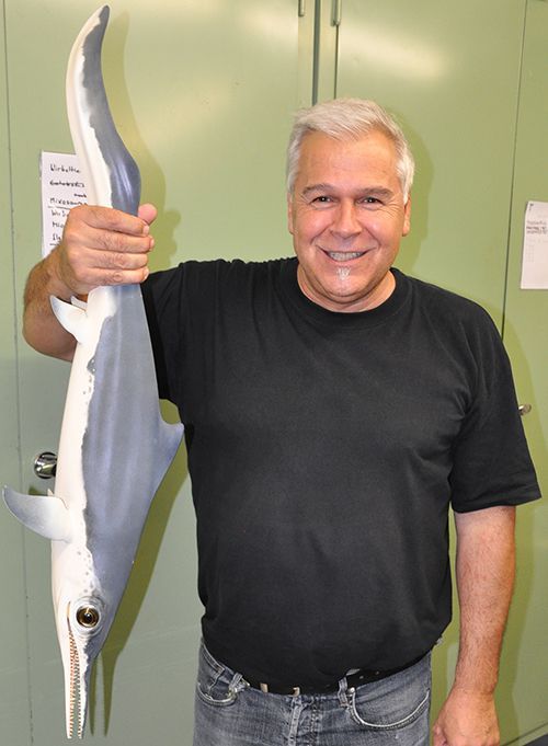 Beat Scheffold Beat Scheffold