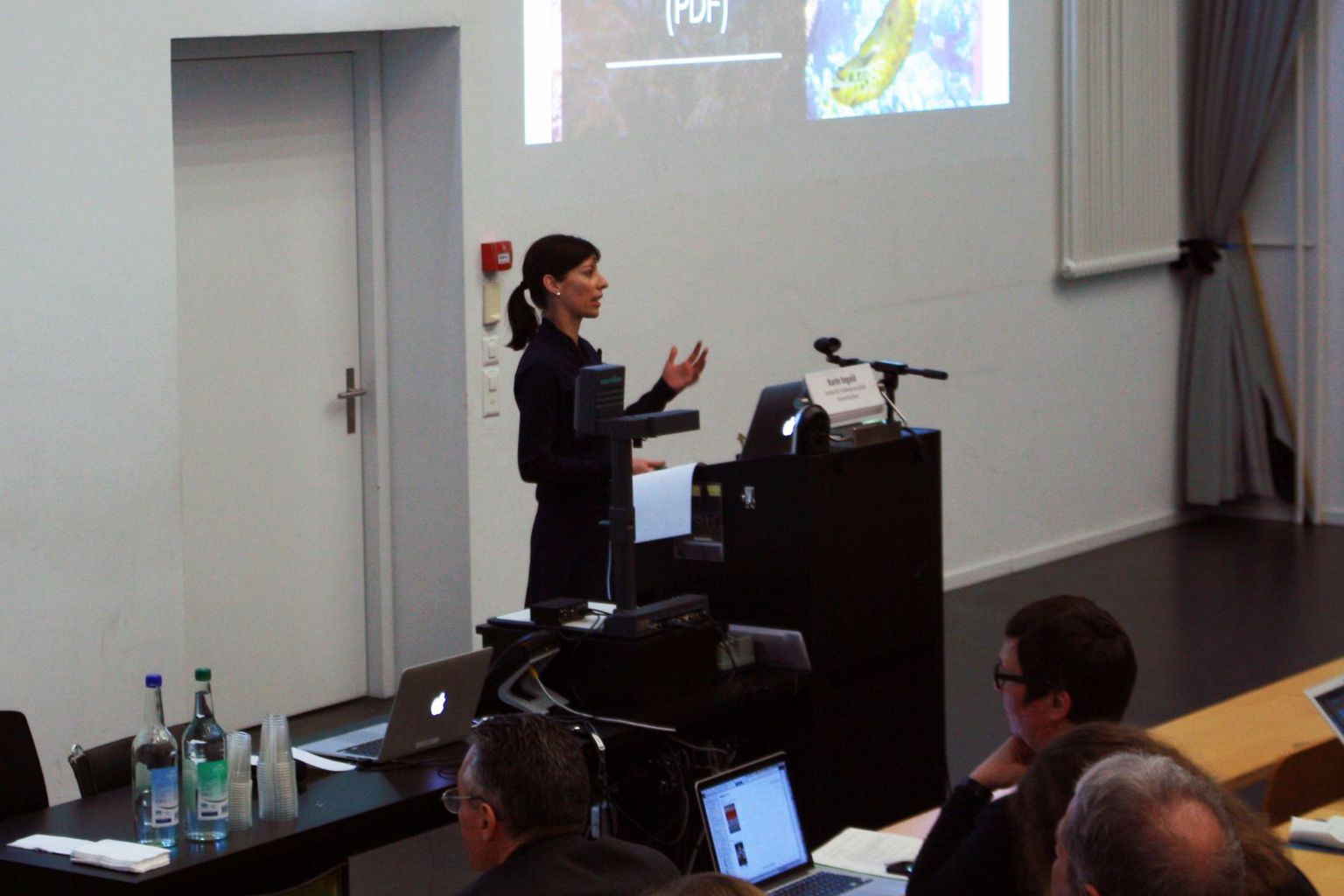 Karin Ingold, Institut für Politikwissenschaft, Universität Bern Karin Ingold, Institut für Politikwissenschaft, Universität Bern