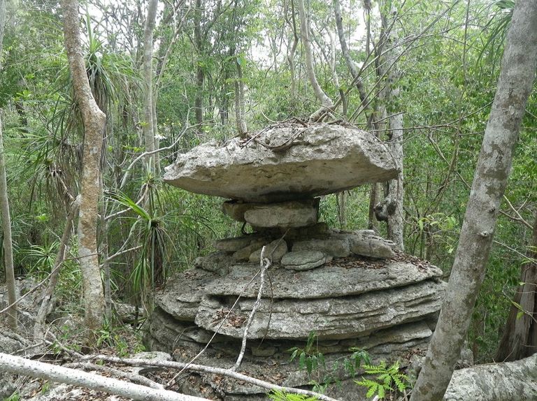 Beanka Forest Madagascar Beanka Forest Madagascar