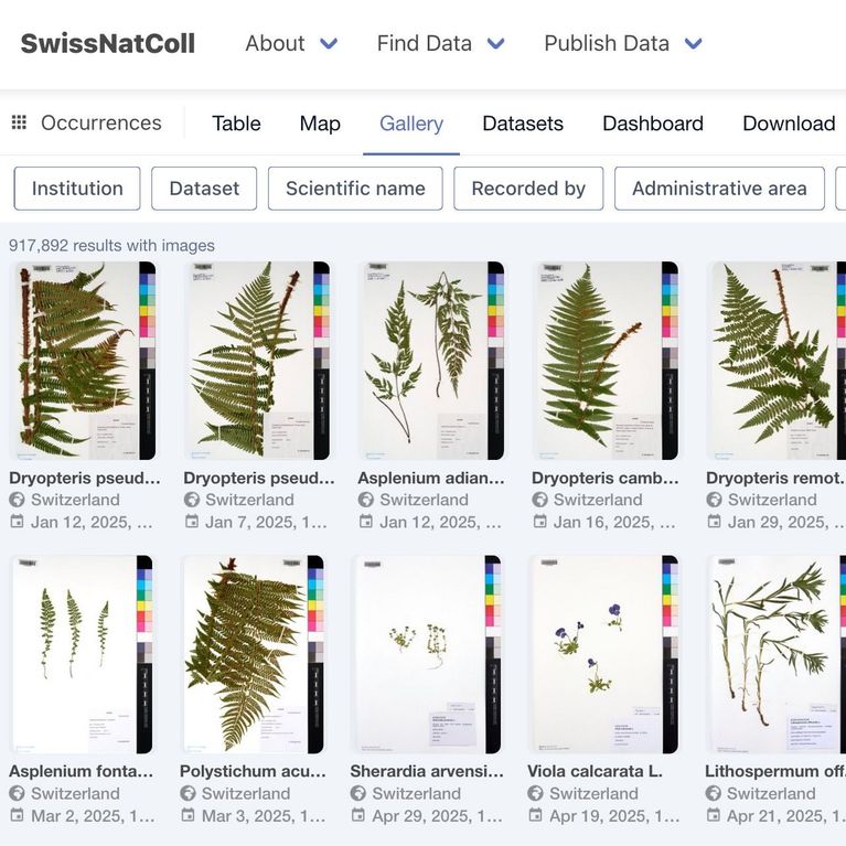 SwissNatColl - Gallery view SwissNatColl - Gallery view