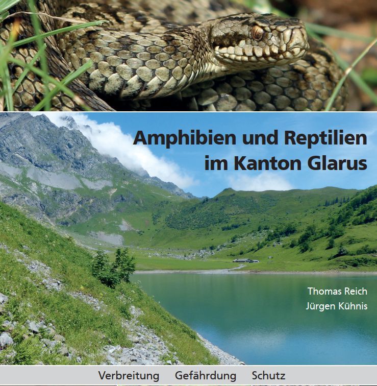Amphibien und Reptilien Amphibien und Reptilien