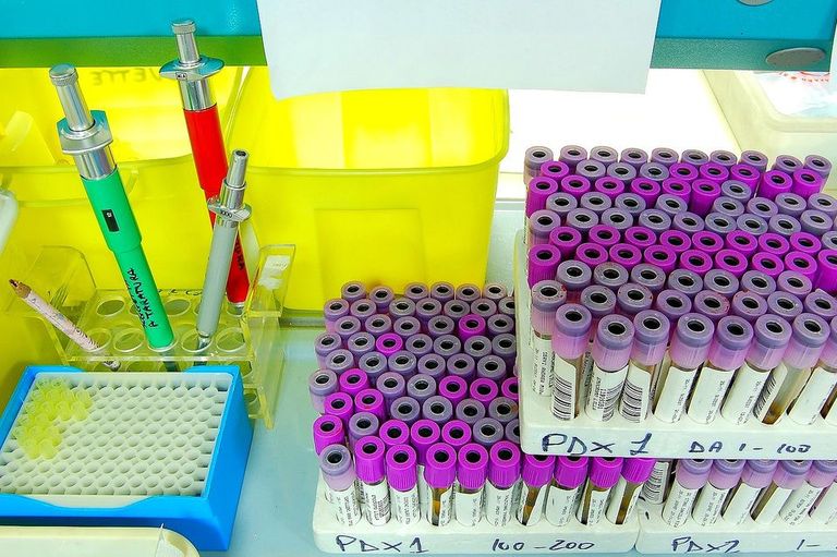 Molekularbiologische Forschung im Labor Molekularbiologische Forschung im Labor