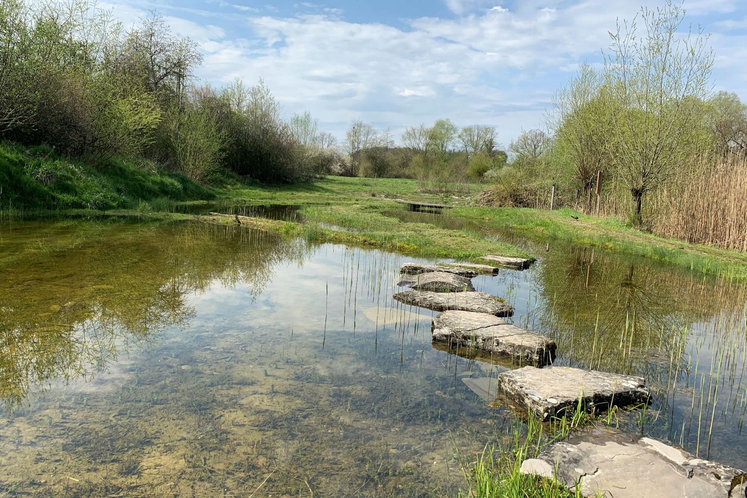 Auried, Bild 04 Auried, Bild 04