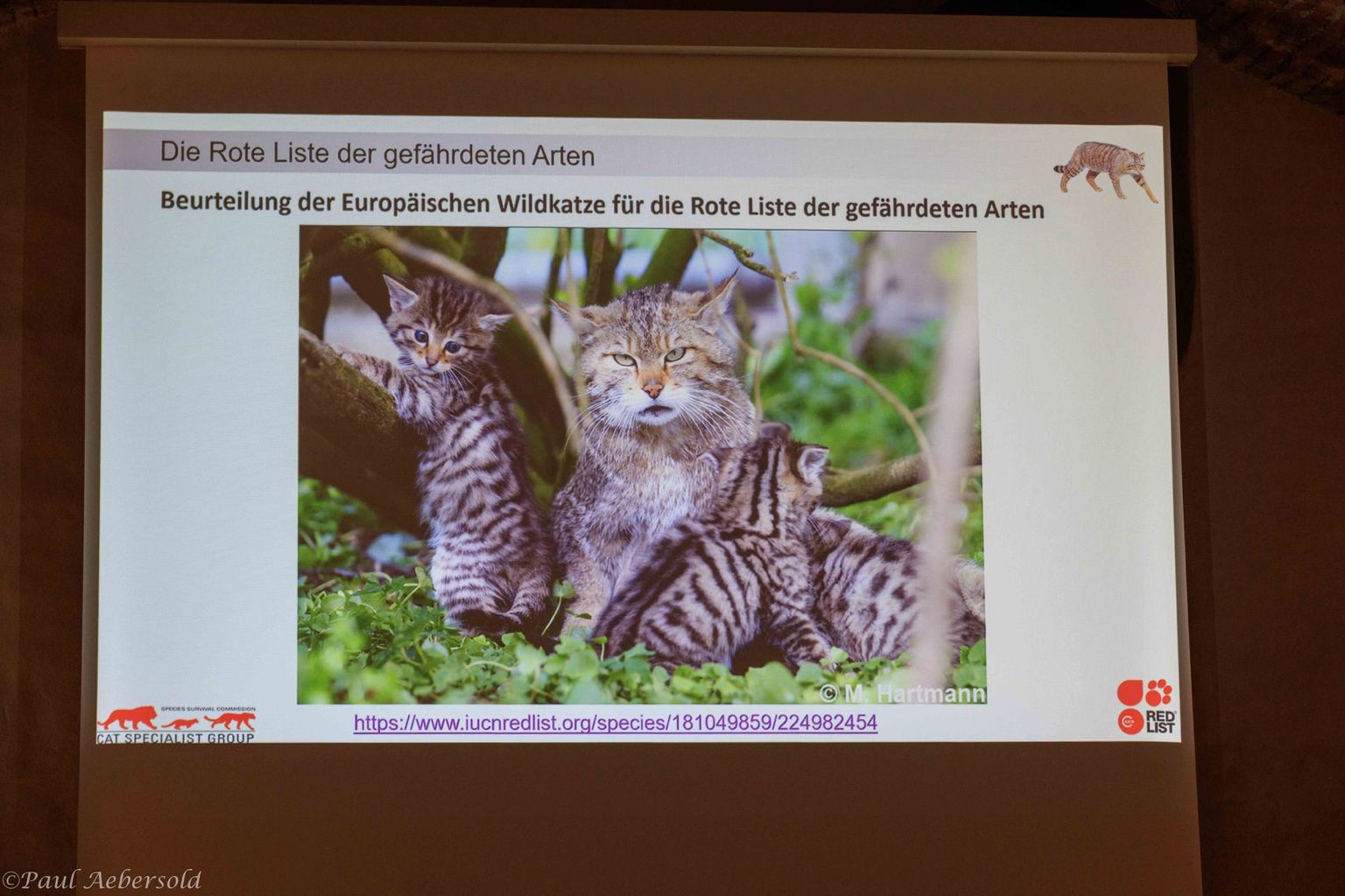 NGT - Rote Liste 06 NGT - Rote Liste 06