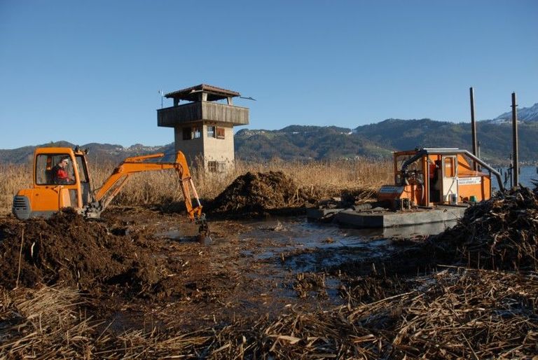 Aushub beim Turm Aushub beim Turm
