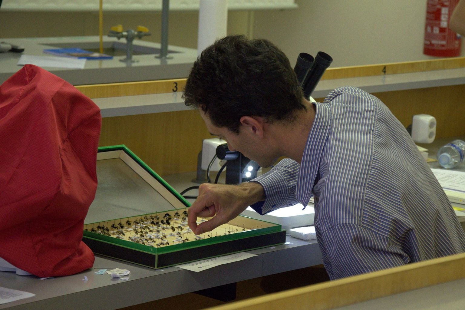 Summer school 2013 (plate-forme Biologie) Summer school 2013 (plate-forme Biologie)