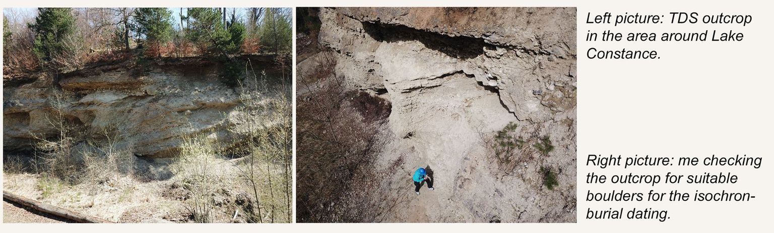 C. Dieleman C. Dieleman