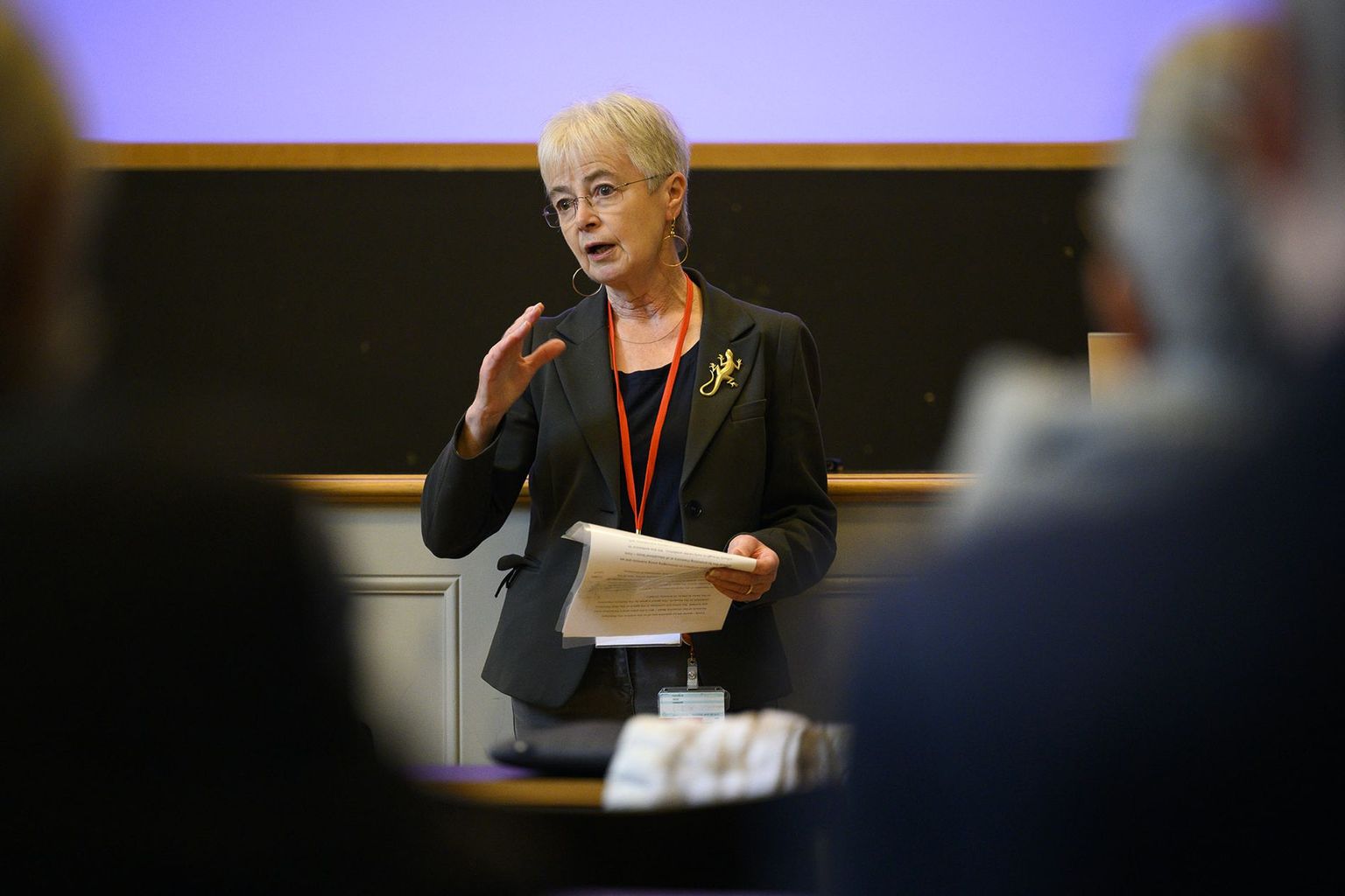 Catherine Housecroft stellt das Chemical Landmark Projekt vor. Catherine Housecroft stellt das Chemical Landmark Projekt vor.