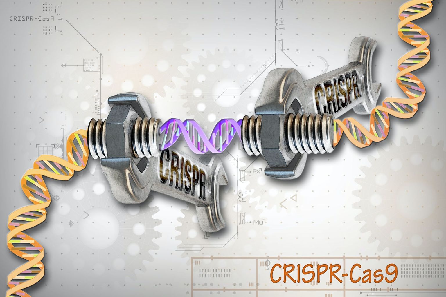 CRISPR Cas9 DNA Schraubenschlüssel CRISPR Cas9 DNA Schraubenschlüssel
