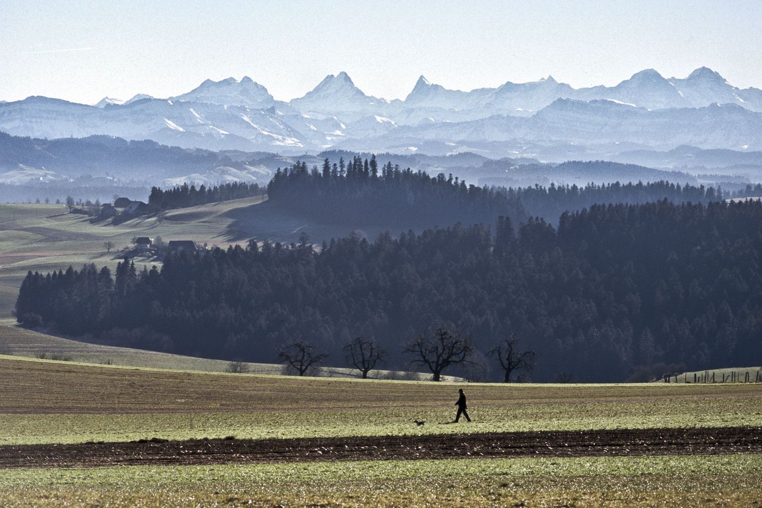 Agrarian landscape Agrarian landscape
