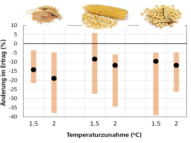 Ertrag bei Klimaerwärmung um 1.5°C oder 2°C (Graphik aus Präsentation von Prof. Dr. Jürg Fuhrer; Schleussner CF et al. 2016) Ertrag bei Klimaerwärmung um 1.5°C oder 2°C (Graphik aus Präsentation von Prof. Dr. Jürg Fuhrer; Schleussner CF et al. 2016)