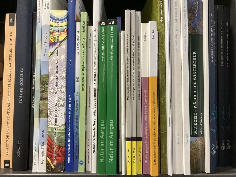 Publikationen KRG Publikationen KRG