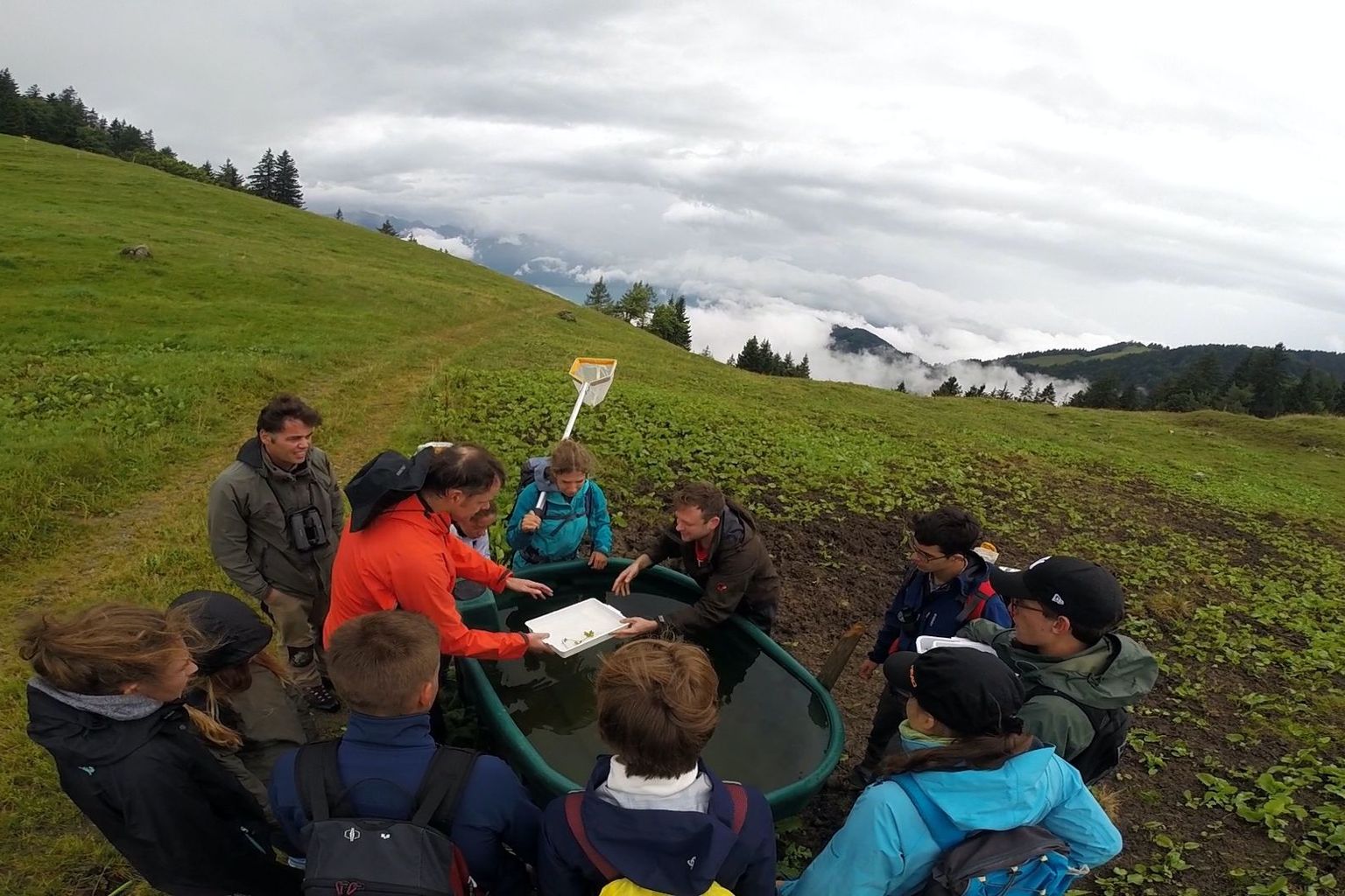 Summer School Bioblitz_15 Summer School Bioblitz_15