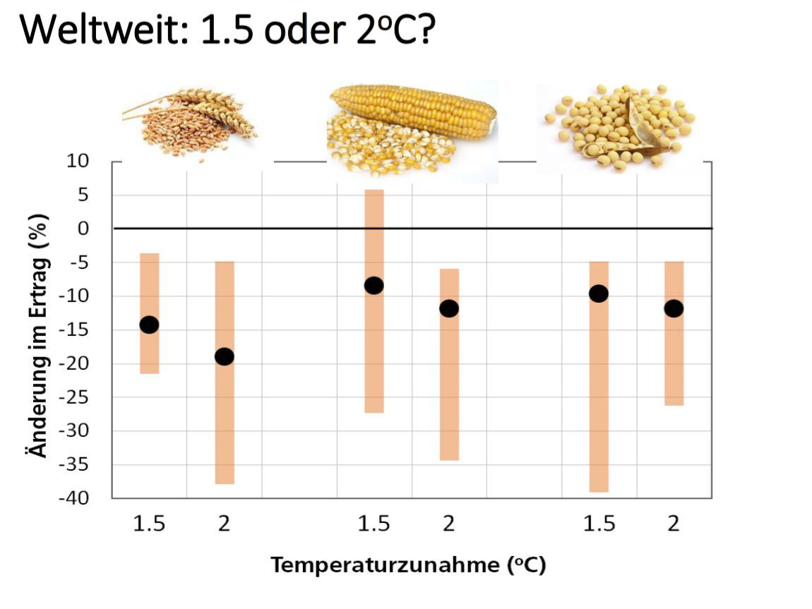 Ertrag bei Klimaerwärmung um 1.5°C oder 2°C (Graphik aus Präsentation von Prof. Dr. Jürg Fuhrer; Schleussner CF et al. 2016) Ertrag bei Klimaerwärmung um 1.5°C oder 2°C (Graphik aus Präsentation von Prof. Dr. Jürg Fuhrer; Schleussner CF et al. 2016)