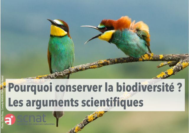 Argumentation Biodiversité Argumentation Biodiversité