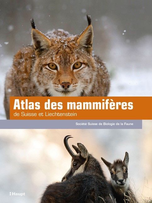 Atlas Teaser F Atlas Teaser F