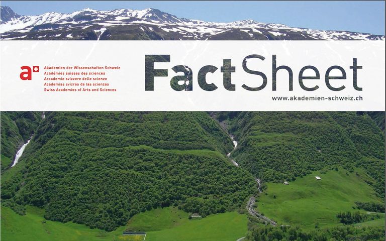 Factsheet Grünerlen Factsheet Grünerlen