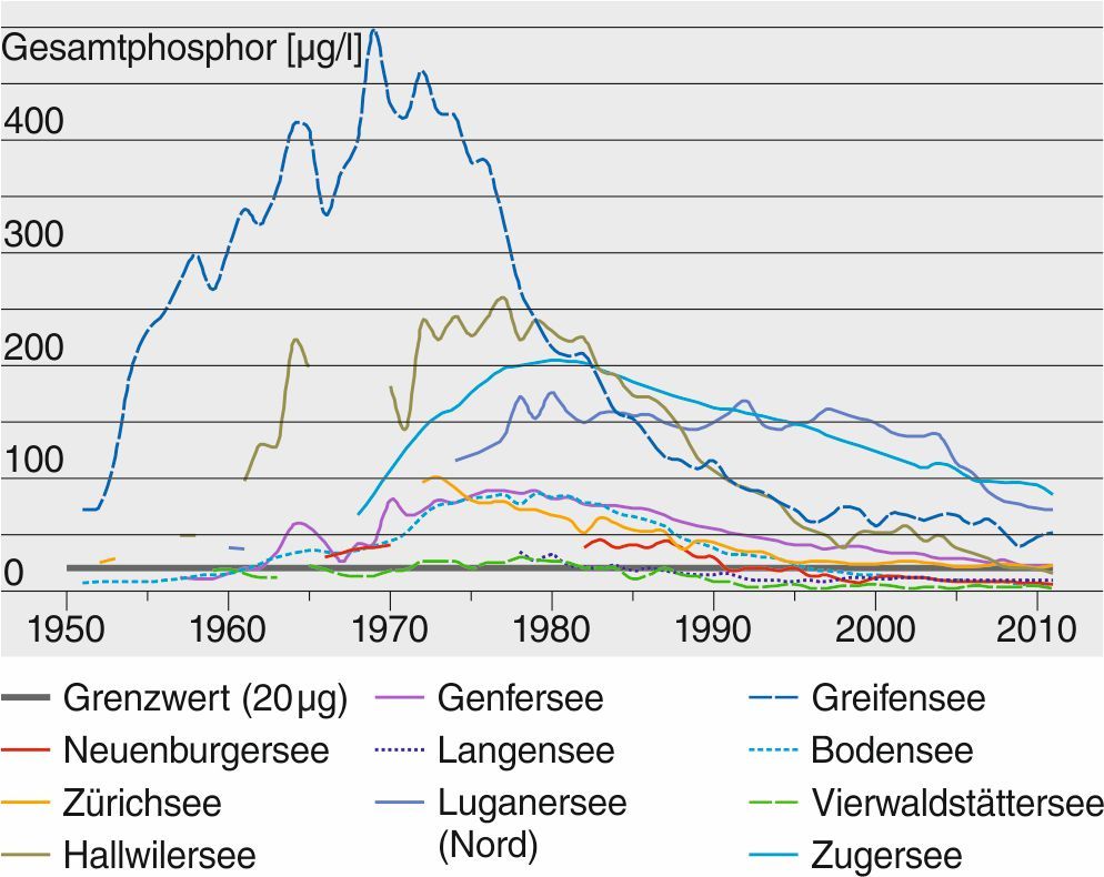 Zeitreihe des Phosphor-Gehalts ausgewählter Schweizer Seen. Unterhalb von 20 Mikrogramm Phosphor pro Liter Wasser sind die gesetzlichen Vorgaben erfüllt. Zeitreihe des Phosphor-Gehalts ausgewählter Schweizer Seen. Unterhalb von 20 Mikrogramm Phosphor pro Liter Wasser sind die gesetzlichen Vorgaben erfüllt.