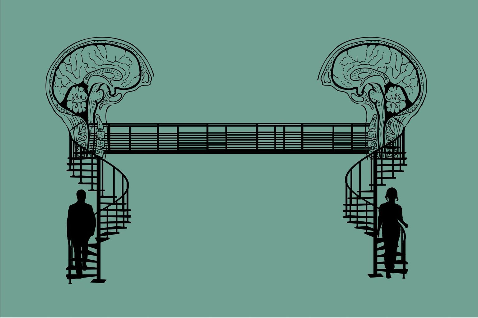 brain connections brain connections