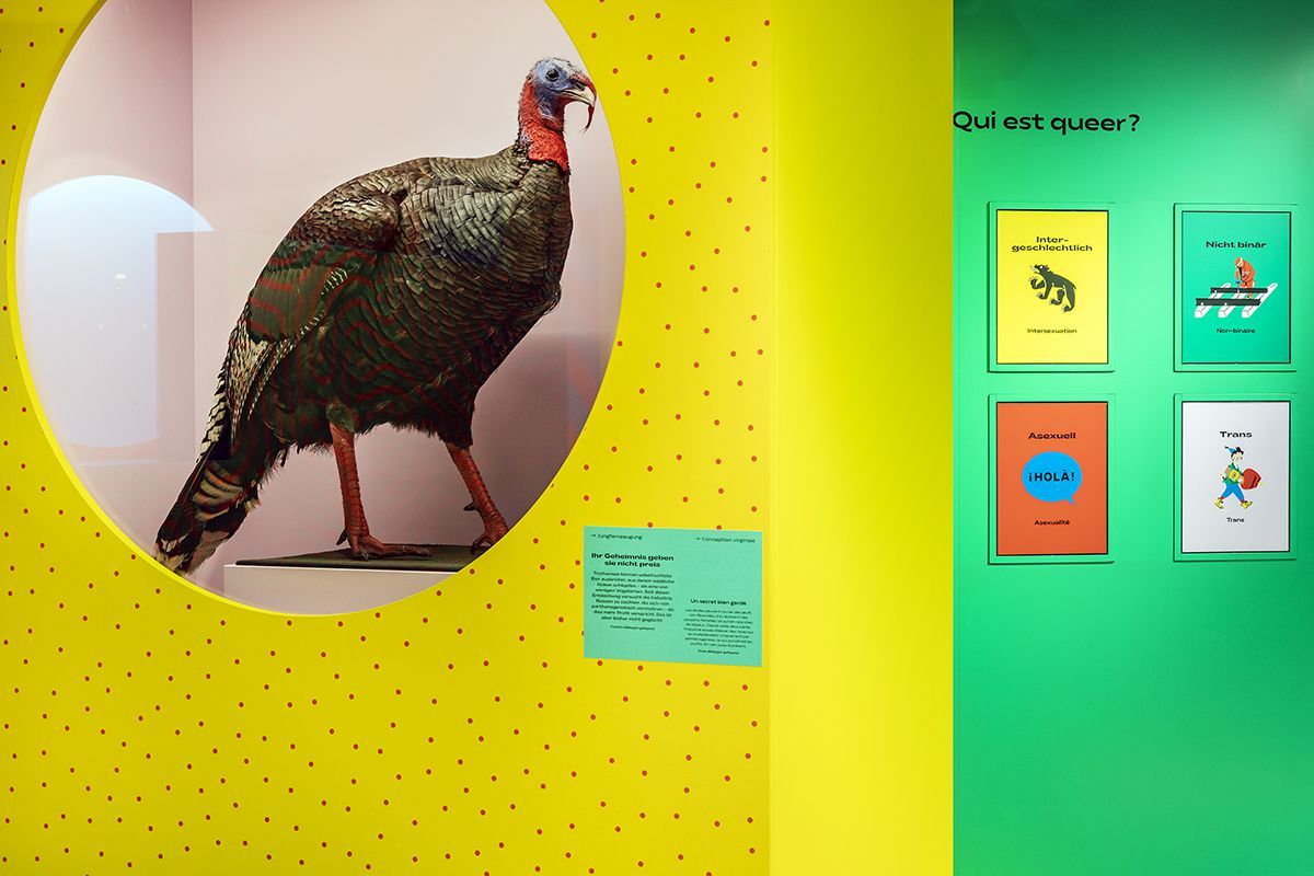 Ausstellung Queer Ausstellung Queer