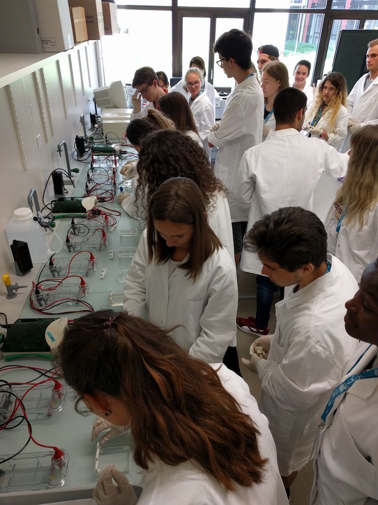 Summer School 2016 Summer School 2016