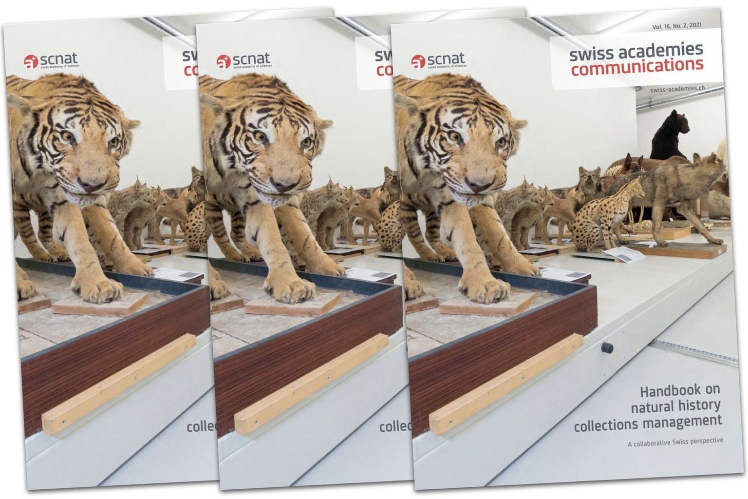 Swiss Academies Communication Swiss Academies Communication