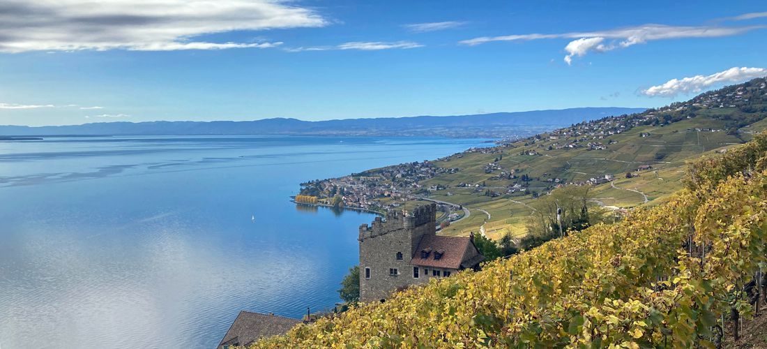 SGM 2022 Image Lavaux vignobles SGM 2022 Image Lavaux vignobles