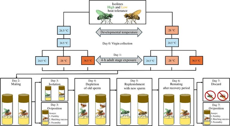Abhishek Meena award Abhishek Meena award