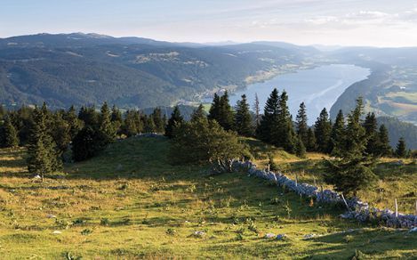 La biodiversité - ça vaut le coup! La biodiversité - ça vaut le coup!