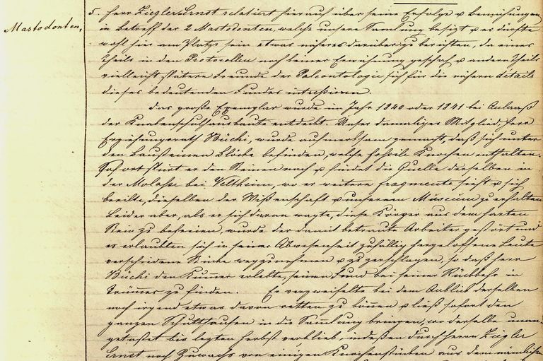 Ausschnitt über den Mastodon-Fund im Protokollbuch Ausschnitt über den Mastodon-Fund im Protokollbuch