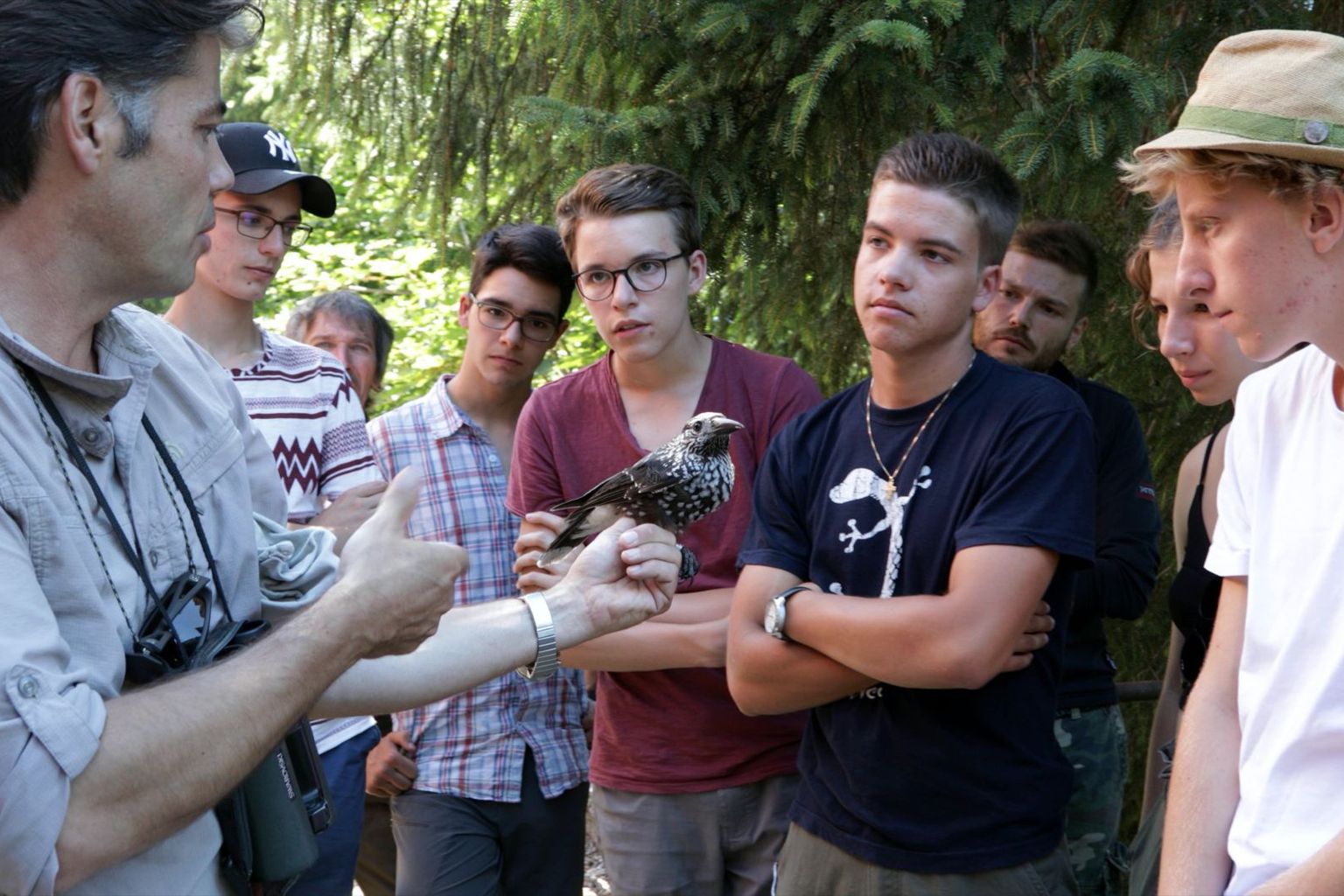 Summer School Bioblitz_1 Summer School Bioblitz_1